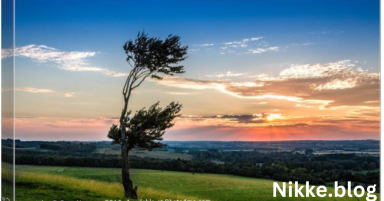 Exploring Canvas Art in Hertfordshire: A Guide for Art Lovers