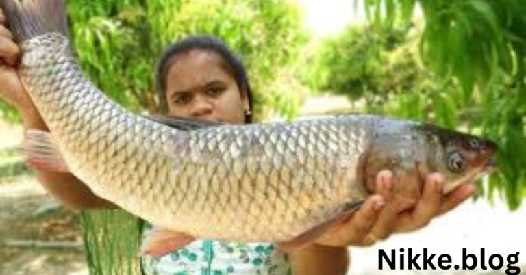 Rohu Fish: A Nutritional Powerhouse and Culinary Delight