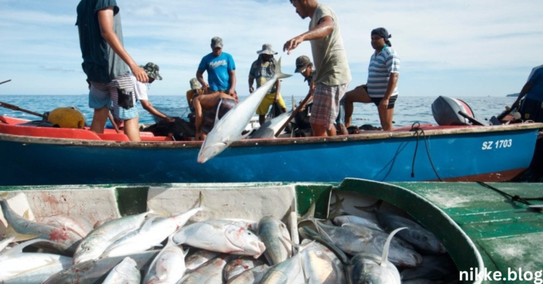 The Ultimate Guide to Three Fishing Techniques: Mastering Skills for Every Angler