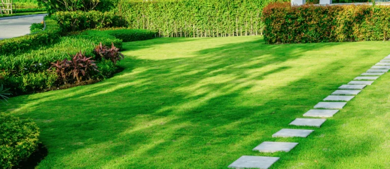 Tips for Maintaining a Beautiful Landscape: Your Guide to Lawn Care and More